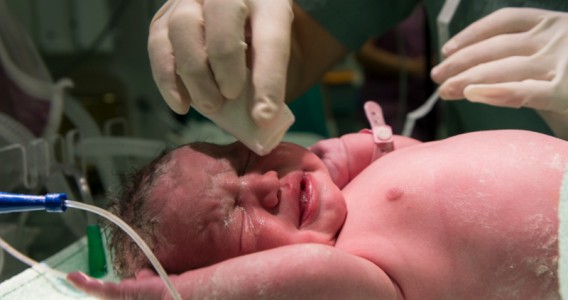 Inteligência artificial identifica dor em bebês e pode auxiliar decisões médicas em UTI neonatal