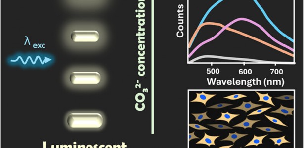 Researchers make breakthrough in biomedical imaging and cancer treatment