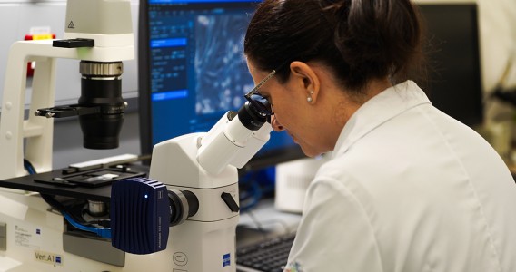 FAPESP defines seven strategic research priorities for the 2026-2028 period