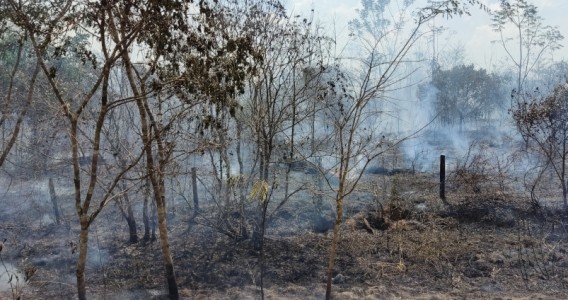 Secas mais longas e mudanças nas chuvas já ocorrem na Amazônia, apontam pesquisas
