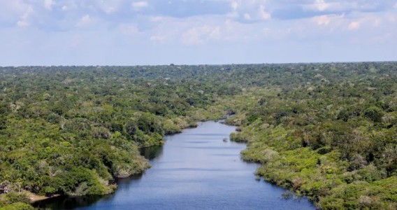 Sistemas atmosféricos controlam chuvas e transporte de nutrientes da África até a Amazônia