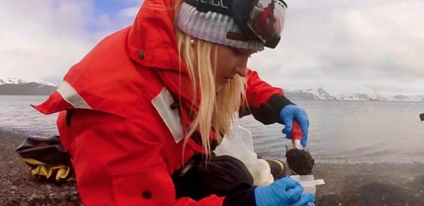 Pyroantarticum pellizari: arqueia antártica resiste ao frio e ao calor extremos