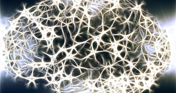 Nuevo biomarcador tiene el potencial de predecir y prevenir las crisis epilépticas