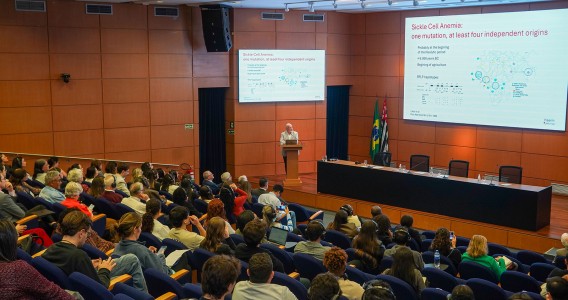 Anemia falciforme: tratamento para doença que inaugurou a medicina molecular esbarra na desigualdade e no racismo