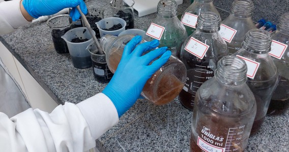 Baixas doses de soda cáustica aumentam a produção de biogás a partir de resíduos de banana