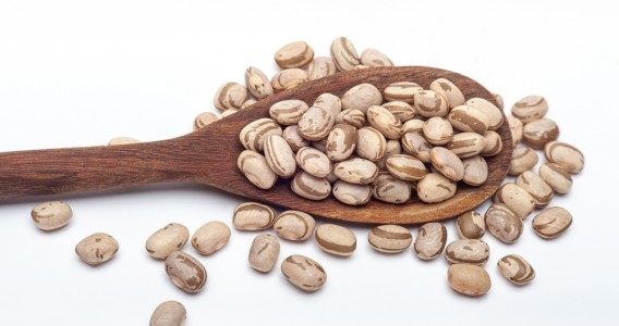 Pesquisadores transformam grãos quebrados de feijão em ingrediente proteico de alto valor
