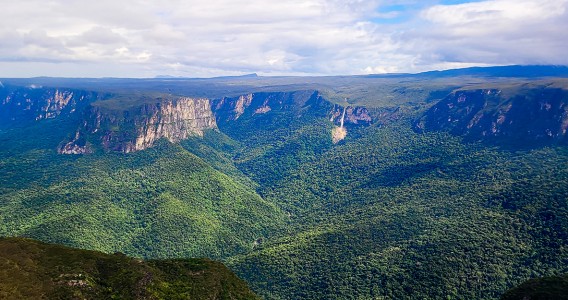 Expedição inédita vai mapear a biodiversidade do topo da Serra do Aracá, no norte do Amazonas