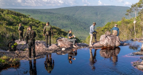 Do Aracá ao Aracazinho: expedição científica coleta dezenas de espécies possivelmente novas na Amazônia
