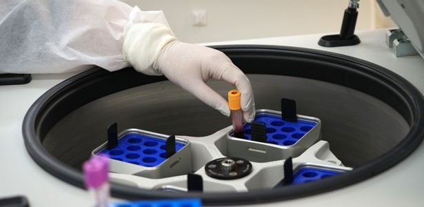 Imagem ilustrativa de sangue e células imunológicas ao microscópio