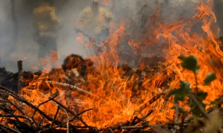 Mudanças climáticas aumentaram condições favoráveis a incêndios florestais sem precedentes, diz pesquisa