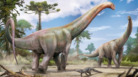 Novo dinossauro pescoçudo encontrado no Maranhão era parente próximo de espécie europeia Novo dinossauro pescoçudo encontrado no Maranhão era parente próximo de espécie europeia