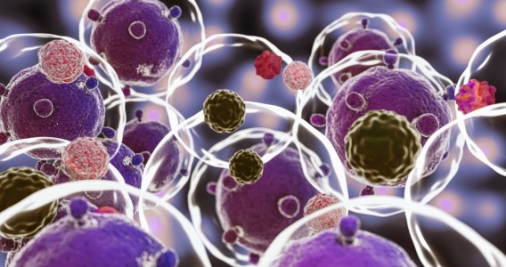 Un estudio indica que las terapias celulares pueden disminuir un 60 % el riesgo de muerte por COVID-19