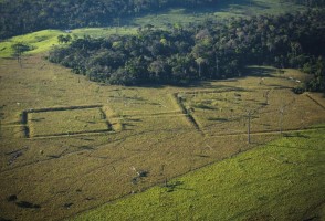 A arqueologia amazônica e o futuro da floresta serão tema da 2ª Conferência FAPESP de 2024