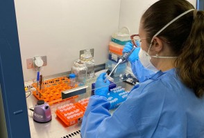 Vacina de DNA contra o zika apresenta bons resultados em testes com camundongos